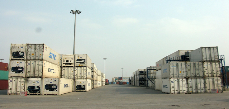 container hàng thủy sản đông lạnh nhập khẩu