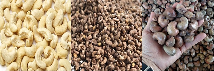 Dịch vụ hải quan nhập khẩu hạt điều